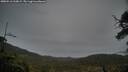 ./images/calvert/fitz-hugh-hecate/20250516/fitz-hugh-hecate20250516_210009M.jpg