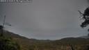 ./images/calvert/fitz-hugh-hecate/20250516/fitz-hugh-hecate20250516_211009M.jpg