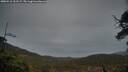 ./images/calvert/fitz-hugh-hecate/20250516/fitz-hugh-hecate20250516_211507M.jpg