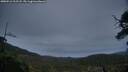 ./images/calvert/fitz-hugh-hecate/20250516/fitz-hugh-hecate20250516_212508M.jpg