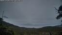 ./images/calvert/fitz-hugh-hecate/20250516/fitz-hugh-hecate20250516_213508M.jpg