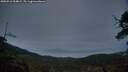 ./images/calvert/fitz-hugh-hecate/20250516/fitz-hugh-hecate20250516_214009M.jpg