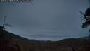 ./images/calvert/fitz-hugh-hecate/20250516/fitz-hugh-hecate20250516_214508M.jpg