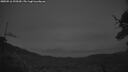 ./images/calvert/fitz-hugh-hecate/20250516/fitz-hugh-hecate20250516_220509M.jpg