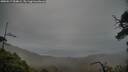 ./images/calvert/fitz-hugh-hecate/20250517/fitz-hugh-hecate20250517_054008M.jpg