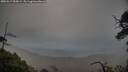 ./images/calvert/fitz-hugh-hecate/20250517/fitz-hugh-hecate20250517_055008M.jpg