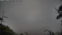 ./images/calvert/fitz-hugh-hecate/20250517/fitz-hugh-hecate20250517_055507M.jpg