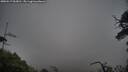 ./images/calvert/fitz-hugh-hecate/20250517/fitz-hugh-hecate20250517_063010M.jpg