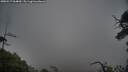 ./images/calvert/fitz-hugh-hecate/20250517/fitz-hugh-hecate20250517_064009M.jpg
