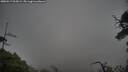 ./images/calvert/fitz-hugh-hecate/20250517/fitz-hugh-hecate20250517_065009M.jpg