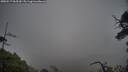 ./images/calvert/fitz-hugh-hecate/20250517/fitz-hugh-hecate20250517_065510M.jpg
