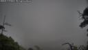 ./images/calvert/fitz-hugh-hecate/20250517/fitz-hugh-hecate20250517_070010M.jpg