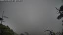 ./images/calvert/fitz-hugh-hecate/20250517/fitz-hugh-hecate20250517_071010M.jpg