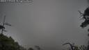 ./images/calvert/fitz-hugh-hecate/20250517/fitz-hugh-hecate20250517_071510M.jpg