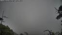 ./images/calvert/fitz-hugh-hecate/20250517/fitz-hugh-hecate20250517_072508M.jpg
