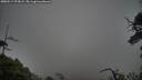 ./images/calvert/fitz-hugh-hecate/20250517/fitz-hugh-hecate20250517_073008M.jpg