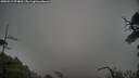 ./images/calvert/fitz-hugh-hecate/20250517/fitz-hugh-hecate20250517_074010M.jpg