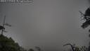 ./images/calvert/fitz-hugh-hecate/20250517/fitz-hugh-hecate20250517_075010M.jpg