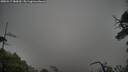 ./images/calvert/fitz-hugh-hecate/20250517/fitz-hugh-hecate20250517_080009M.jpg