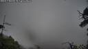 ./images/calvert/fitz-hugh-hecate/20250517/fitz-hugh-hecate20250517_081510M.jpg