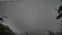 ./images/calvert/fitz-hugh-hecate/20250517/fitz-hugh-hecate20250517_082010M.jpg
