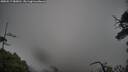 ./images/calvert/fitz-hugh-hecate/20250517/fitz-hugh-hecate20250517_083010M.jpg
