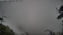 ./images/calvert/fitz-hugh-hecate/20250517/fitz-hugh-hecate20250517_083509M.jpg