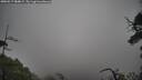 ./images/calvert/fitz-hugh-hecate/20250517/fitz-hugh-hecate20250517_084009M.jpg
