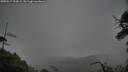 ./images/calvert/fitz-hugh-hecate/20250517/fitz-hugh-hecate20250517_090509M.jpg