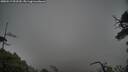 ./images/calvert/fitz-hugh-hecate/20250517/fitz-hugh-hecate20250517_092509M.jpg
