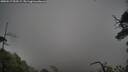 ./images/calvert/fitz-hugh-hecate/20250517/fitz-hugh-hecate20250517_095509M.jpg