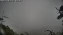 ./images/calvert/fitz-hugh-hecate/20250517/fitz-hugh-hecate20250517_100009M.jpg