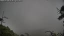 ./images/calvert/fitz-hugh-hecate/20250517/fitz-hugh-hecate20250517_100508M.jpg