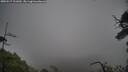./images/calvert/fitz-hugh-hecate/20250517/fitz-hugh-hecate20250517_101009M.jpg