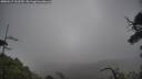 ./images/calvert/fitz-hugh-hecate/20250517/fitz-hugh-hecate20250517_102510M.jpg