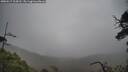 ./images/calvert/fitz-hugh-hecate/20250517/fitz-hugh-hecate20250517_104510M.jpg