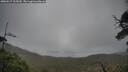 ./images/calvert/fitz-hugh-hecate/20250517/fitz-hugh-hecate20250517_105510M.jpg