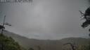 ./images/calvert/fitz-hugh-hecate/20250517/fitz-hugh-hecate20250517_110010M.jpg