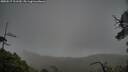 ./images/calvert/fitz-hugh-hecate/20250517/fitz-hugh-hecate20250517_111509M.jpg