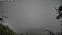 ./images/calvert/fitz-hugh-hecate/20250517/fitz-hugh-hecate20250517_112508M.jpg