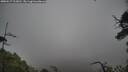 ./images/calvert/fitz-hugh-hecate/20250517/fitz-hugh-hecate20250517_113010M.jpg
