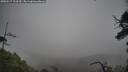 ./images/calvert/fitz-hugh-hecate/20250517/fitz-hugh-hecate20250517_113510M.jpg