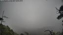 ./images/calvert/fitz-hugh-hecate/20250517/fitz-hugh-hecate20250517_114510M.jpg
