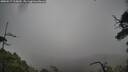 ./images/calvert/fitz-hugh-hecate/20250517/fitz-hugh-hecate20250517_115010M.jpg
