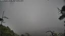 ./images/calvert/fitz-hugh-hecate/20250517/fitz-hugh-hecate20250517_115509M.jpg
