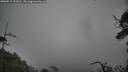 ./images/calvert/fitz-hugh-hecate/20250517/fitz-hugh-hecate20250517_121010M.jpg