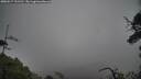 ./images/calvert/fitz-hugh-hecate/20250517/fitz-hugh-hecate20250517_121510M.jpg
