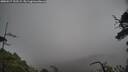 ./images/calvert/fitz-hugh-hecate/20250517/fitz-hugh-hecate20250517_122509M.jpg