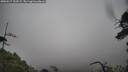 ./images/calvert/fitz-hugh-hecate/20250517/fitz-hugh-hecate20250517_123509M.jpg