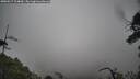 ./images/calvert/fitz-hugh-hecate/20250517/fitz-hugh-hecate20250517_124010M.jpg